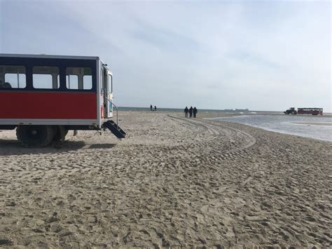 skagen sightseeing udflugter|The 11 Best Things to do in Skagen, Denmark